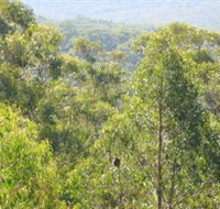 Bunyip State Park - Maitland Accommodation