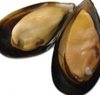 Sea Bounty - Maitland Accommodation