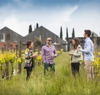 Willow Creek Vineyard - Maitland Accommodation