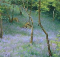 artWintergarden - Maitland Accommodation