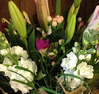 Alpine Blooms Florist Mansfield - Maitland Accommodation