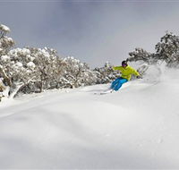 Mt Buller and Mt Stirling Alpine Resort - Maitland Accommodation