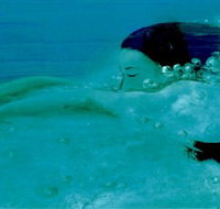 Muse - Maitland Accommodation