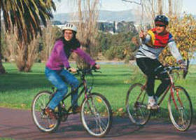 Jells Park - Maitland Accommodation 0