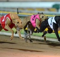 The Beckley Centre - Maitland Accommodation