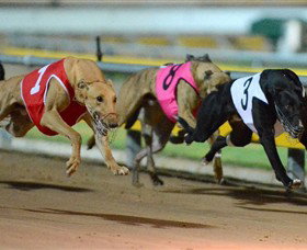 The Beckley Centre - Maitland Accommodation 0