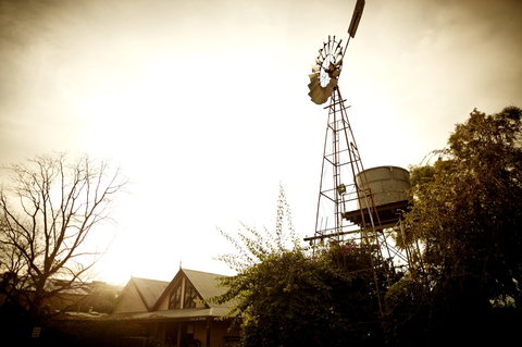 Brown Brothers Milawa Vineyard - Maitland Accommodation 1