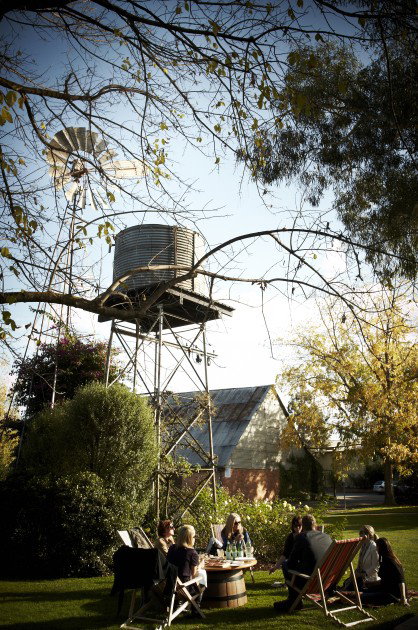 Brown Brothers Milawa Vineyard - Maitland Accommodation 5