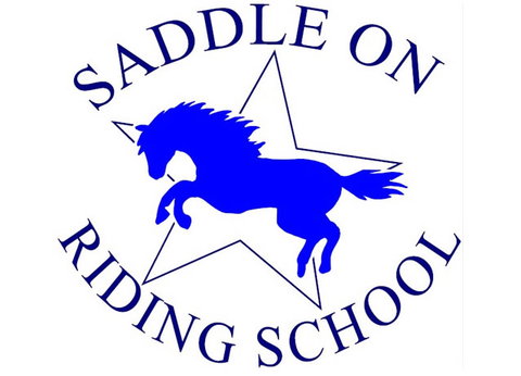 Saddle On Riding School - Maitland Accommodation 0