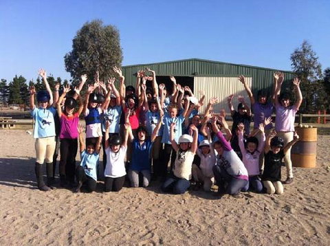 Saddle On Riding School - Maitland Accommodation 2