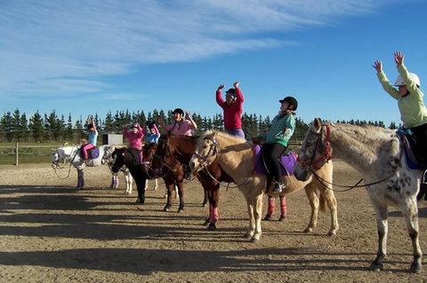 Saddle On Riding School - Maitland Accommodation 3