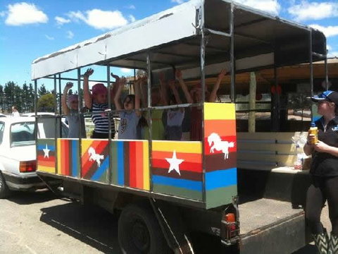 Saddle On Riding School - Maitland Accommodation 4