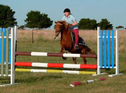 Saddle On Riding School - Maitland Accommodation 5