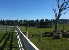 Saddle On Riding School - Maitland Accommodation 6