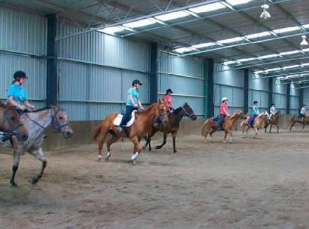 Saddle On Riding School - Maitland Accommodation 7