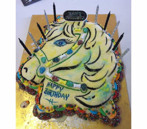 Saddle On Riding School - Maitland Accommodation 10