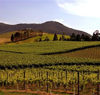 Soumah of Yarra Valley - Maitland Accommodation