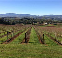 Elmswood Estate - Maitland Accommodation