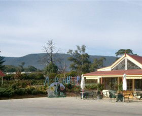 The Big Bouquet - Maitland Accommodation 0