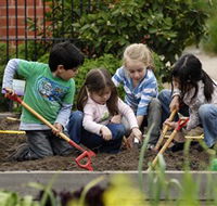 The Ian Potter Foundation Children's Garden - Maitland Accommodation