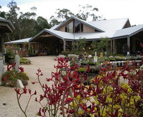 Kuranga Native Nursery And Paperbark Cafe - Maitland Accommodation 0