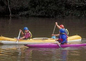 Longridge Park Camp - Maitland Accommodation 0