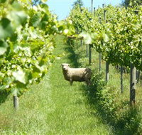 Passing Clouds - Maitland Accommodation