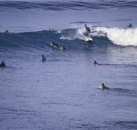 Point Addis Marine National Park - Maitland Accommodation