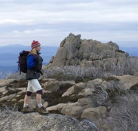 Mount Buffalo National Park - Maitland Accommodation