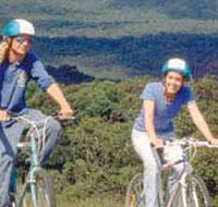 Lysterfield Park - Maitland Accommodation