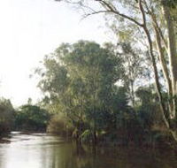 Banksia Park - Maitland Accommodation