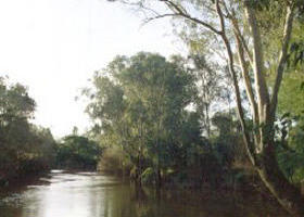 Banksia Park - Maitland Accommodation 0