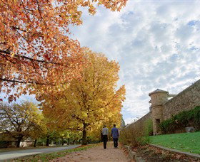 Beechworth Historic And Cultural Precinct - Maitland Accommodation 0
