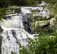 Agnes Falls Scenic Reserve - Maitland Accommodation