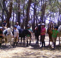 Bellarine Horse Riding Centre - Maitland Accommodation