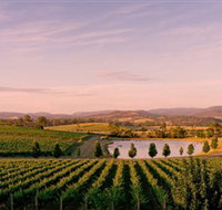Oakridge Wines - Maitland Accommodation