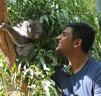 Healesville Sanctuary - Maitland Accommodation