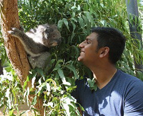 Healesville Sanctuary - Maitland Accommodation 0