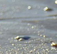 Cape Liptrap Coastal Park - Maitland Accommodation