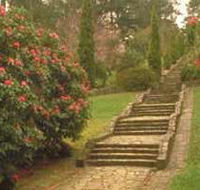 Maroondah Reservoir Park - Maitland Accommodation