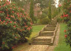 Maroondah Reservoir Park - Maitland Accommodation 0