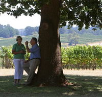 Five Oaks Vineyard - Maitland Accommodation