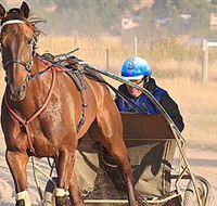 Ballarat  District Trotting Club - Maitland Accommodation