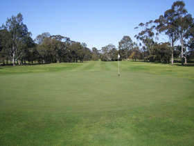 Maffra Golf Club - Maitland Accommodation 0