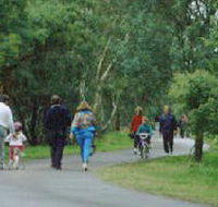 Birrarrung Park - Maitland Accommodation