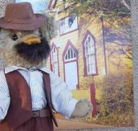 Stanley Bears - Maitland Accommodation