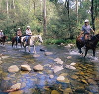 Howqua Hills Historic Area - Maitland Accommodation