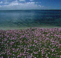 The Lakes National Park - Maitland Accommodation