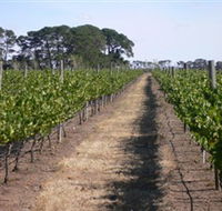 Mount Beckworth Wines - Maitland Accommodation