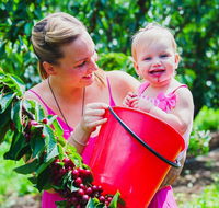 Cherryhill Orchards - Maitland Accommodation